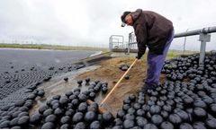 Bird-X Announces New “Bird Balls” Product Line
