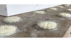 Bird-X Expands Product Line with Optical Gel Bird Deterrent