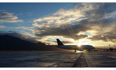 Bird Strikes in the Aviation Industry are Increasing. What are the Dangers?