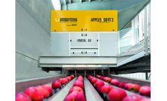 UNISORTING - Model Apples Sort 3 - Apple Sorting and Grading Systems