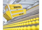 UNISORTING - Model POTATOES Sort 3 - Potato Sorting and Grading Machine