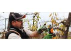 Prunion - Fruit Tree Pruning Shears
