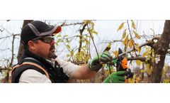 Prunion - Fruit Tree Pruning Shears