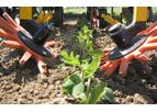 Hatzenbichler - Finger Weeder