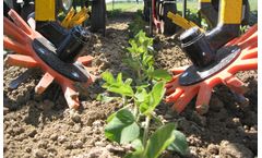 Hatzenbichler - Finger Weeder