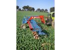 Hatzenbichler - Front Mounting Interrow Cultivator