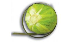 Turoni - Model 20350 - Big Diameter Universal Fruit Sizers