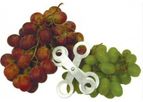 Turoni - Model 53315 - Table Grape and Small Fruit Sizer