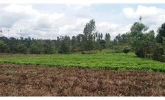 Garama - Climate Adaptation Monitoring & Evaluation Training Program