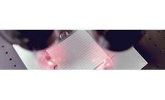 Application Development Services