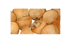 Airdot - Raw Activated Carbon Material