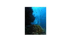 Marine Education/Interpretation