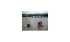 Intertidal, or Beach, Surveys
