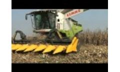 Corn Head 3,45 M 10 & 12 - Video
