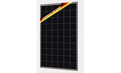Bauer - Model BS-6MB5-EL-PERC - Monocrystalline Solar Module