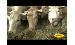 BONINO DG 60 Video