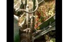 Machine harvesting tomatoes CRF RPL 2009 MNT BELTS-Video