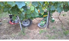 Interrow Rotary Harrow Carli For Mechanic Weed Control On Walk Behind Tractor - Video