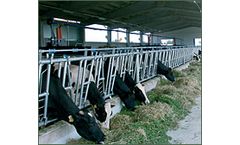 OMVE - Model Plus - Automatic Cattle Yokes
