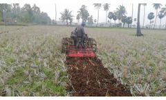 Bull Fuel Efficient Paddy Series - Video