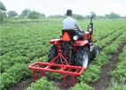 Captain - Blade Cultivator