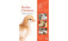Broiler Chickens Welfare in Practice