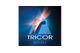 Tricor Metals Inc