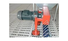 Poultry Chain Feeding System