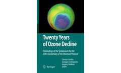 Twenty Years of Ozone Decline