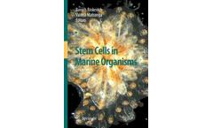 Stem Cells in Marine Organisms
