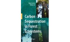 Carbon Sequestration in Forest Ecosystems