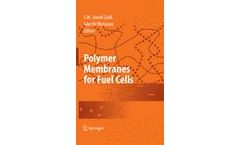 Polymer Membranes for Fuel Cells