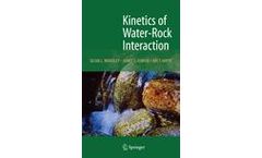 Kinetics of Water-Rock Interaction