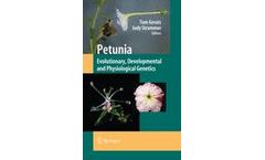 Petunia