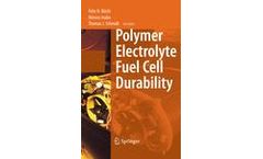 Polymer Electrolyte Fuel Cell Durability