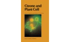 Ozone and Plant Cell