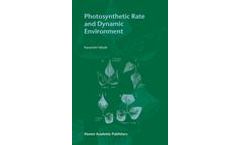 Photosynthetic Rate and Dynamic Environment