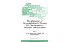 The Utilization of Bioremediation to Reduce Soil Contamination: Problems and Solutions