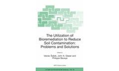 The Utilization of Bioremediation to Reduce Soil Contamination: Problems and Solutions
