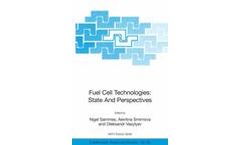 Fuel Cell Technologies: State And Perspectives