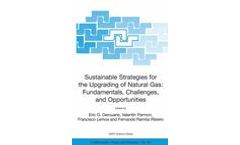 Sustainable Strategies for the Upgrading of Natural Gas: Fundamentals, Challenges, and Opportunities