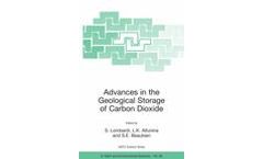 Advances in the Geological Storage of Carbon Dioxide