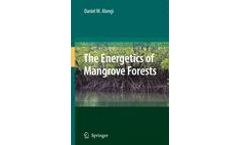 The Energetics of Mangrove Forests