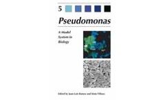 Pseudomonas