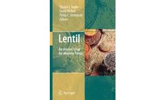 Lentil