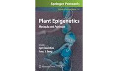 Plant Epigenetics