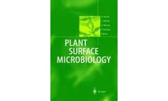 Plant Surface Microbiology