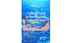 Carbon Cycle in the Russian Arctic Seas