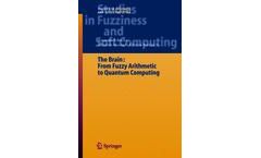 The Brain: Fuzzy Arithmetic to Quantum Computing