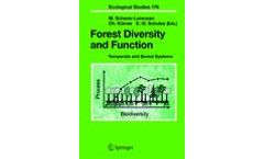 Forest Diversity and Function